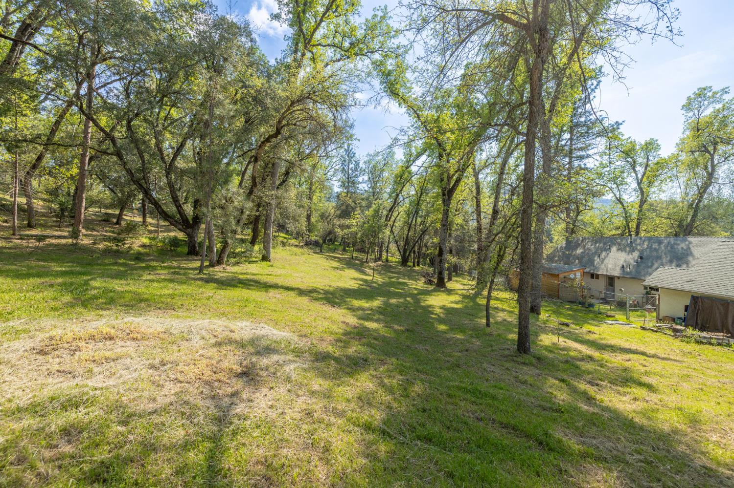 1 Oak Lane-APN 057-310-016 Ln, Oakhurst, CA 93644