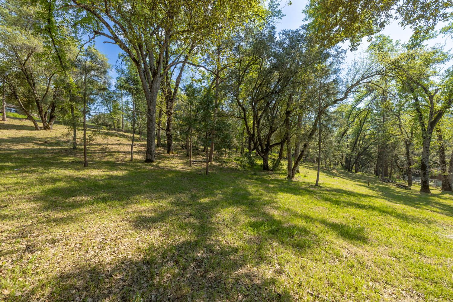 1 Oak Lane-APN 057-310-016 Ln, Oakhurst, CA 93644
