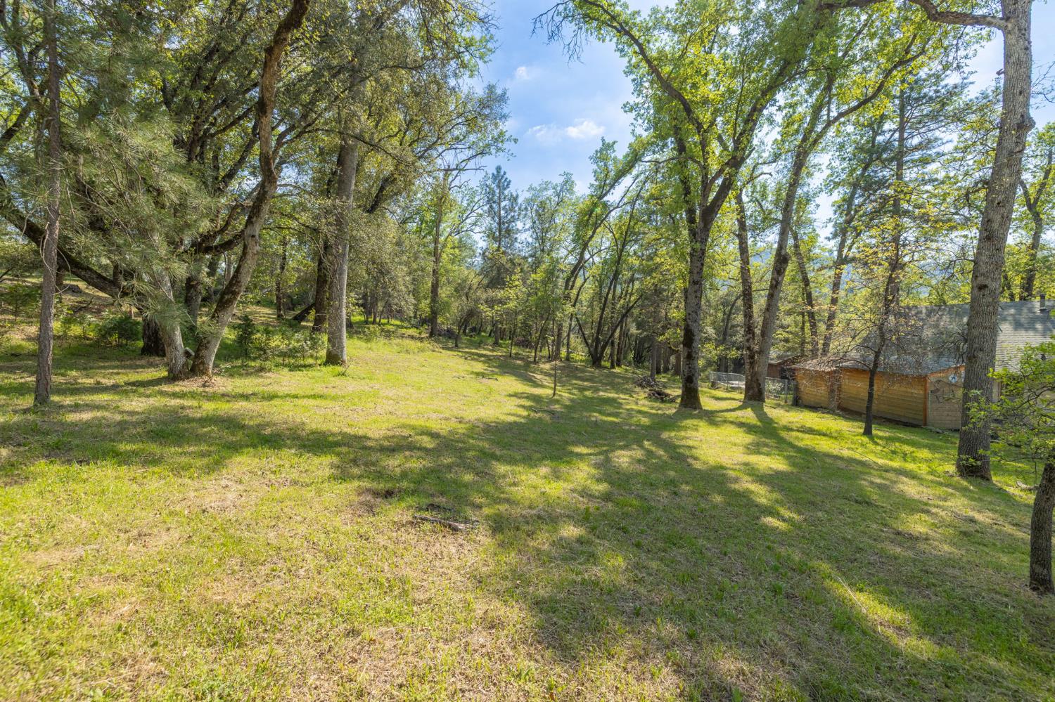1 Oak Lane-APN 057-310-016 Ln, Oakhurst, CA 93644