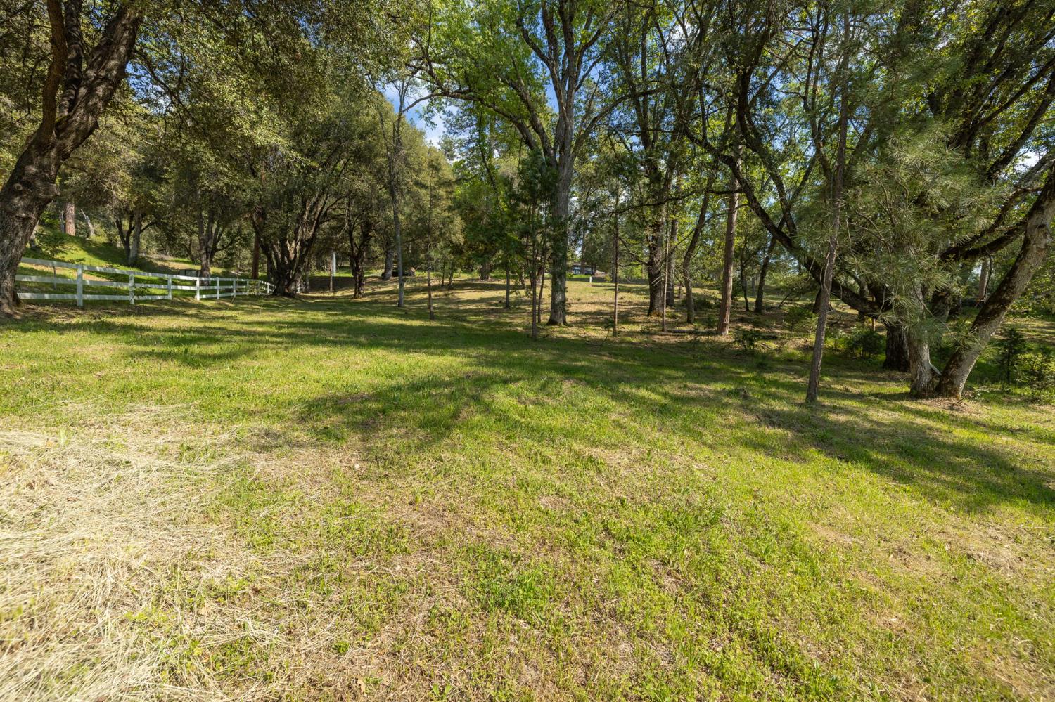 1 Oak Lane-APN 057-310-016 Ln, Oakhurst, CA 93644