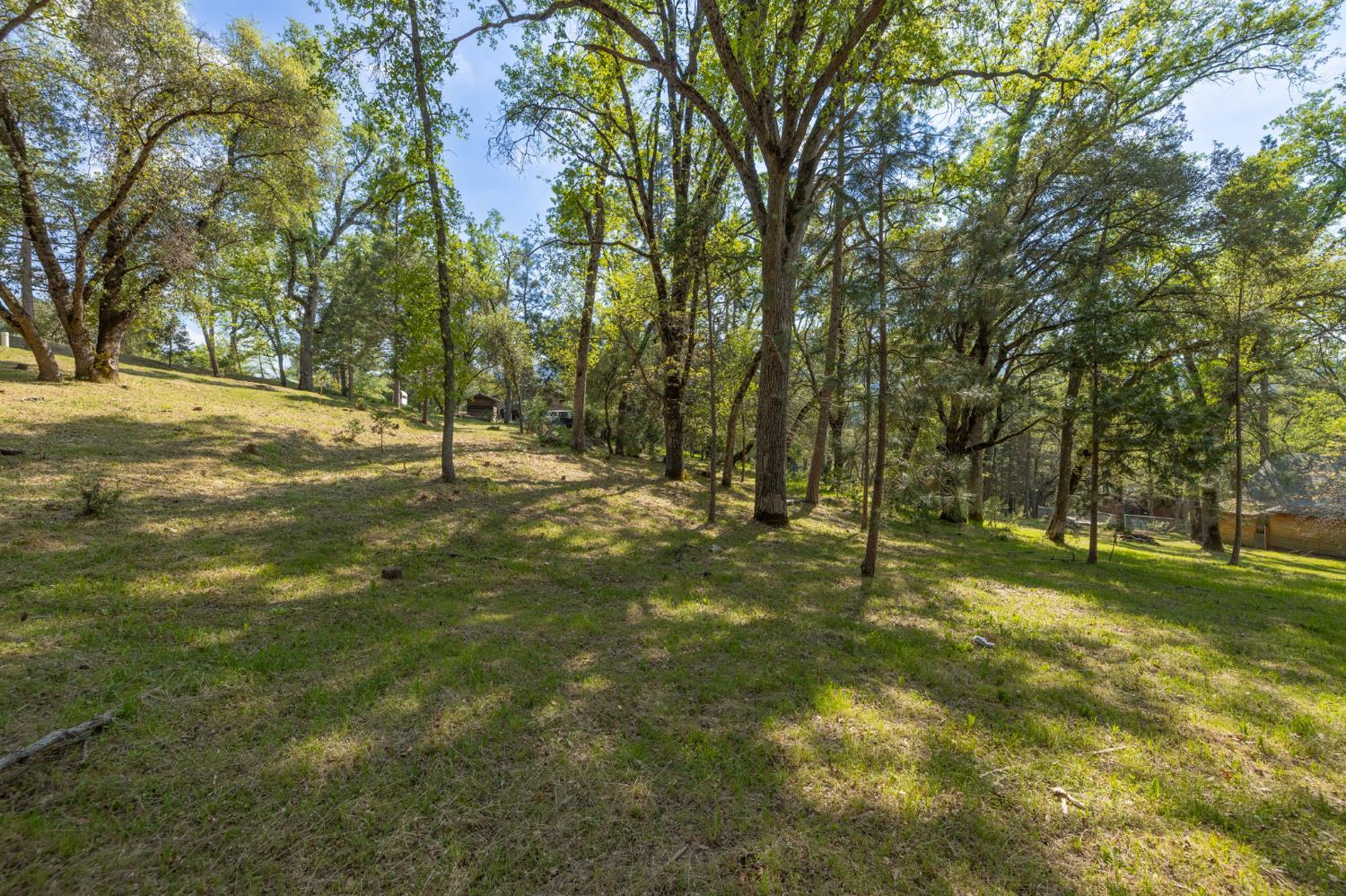 1 Oak Lane-APN 057-310-016 Ln, Oakhurst, CA 93644