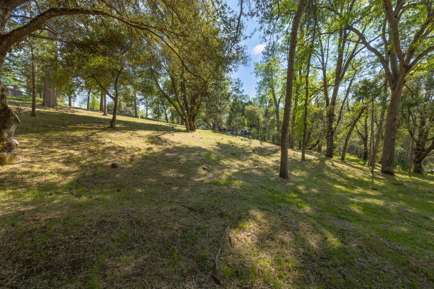 1 Oak Lane-APN 057-310-016 Ln, Oakhurst, CA 93644