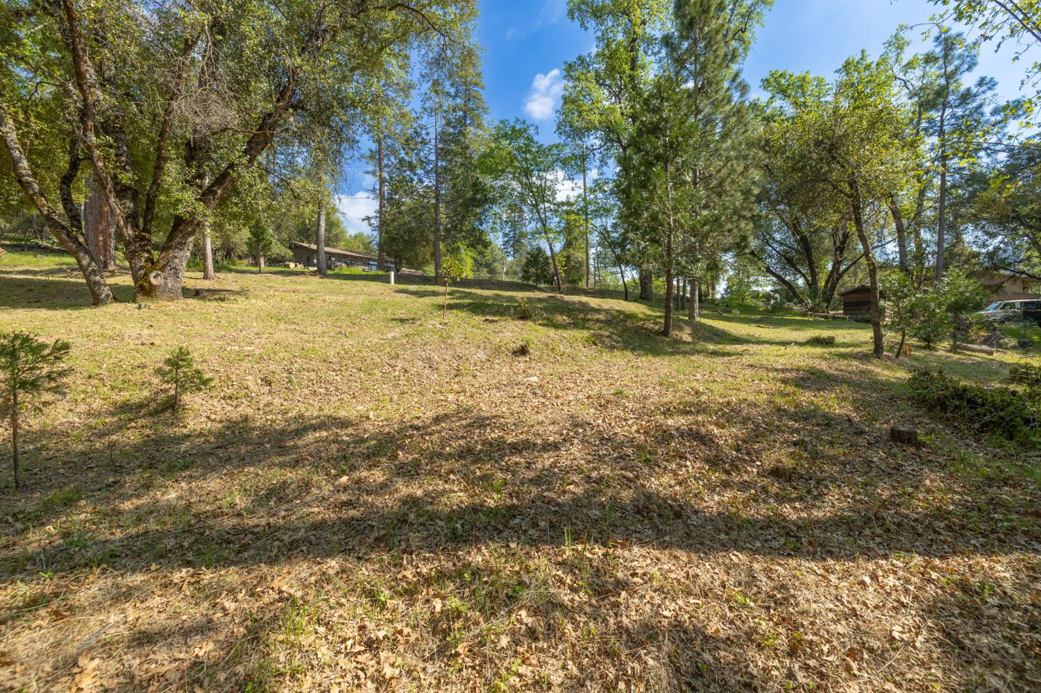 1 Oak Lane-APN 057-310-016 Ln, Oakhurst, CA 93644