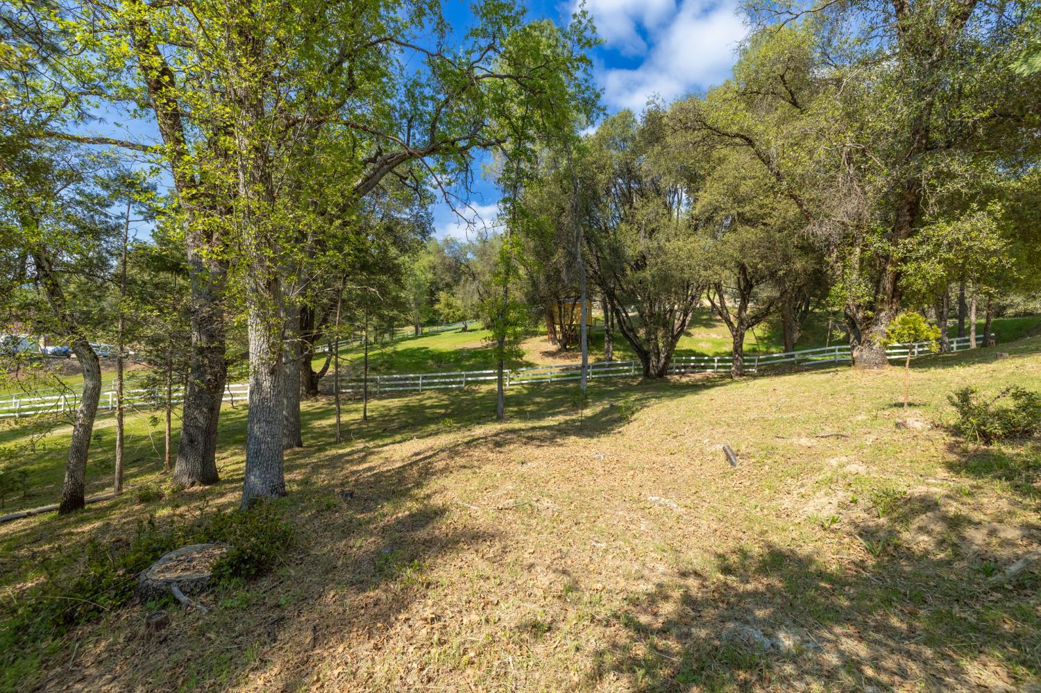 1 Oak Lane-APN 057-310-016 Ln, Oakhurst, CA 93644