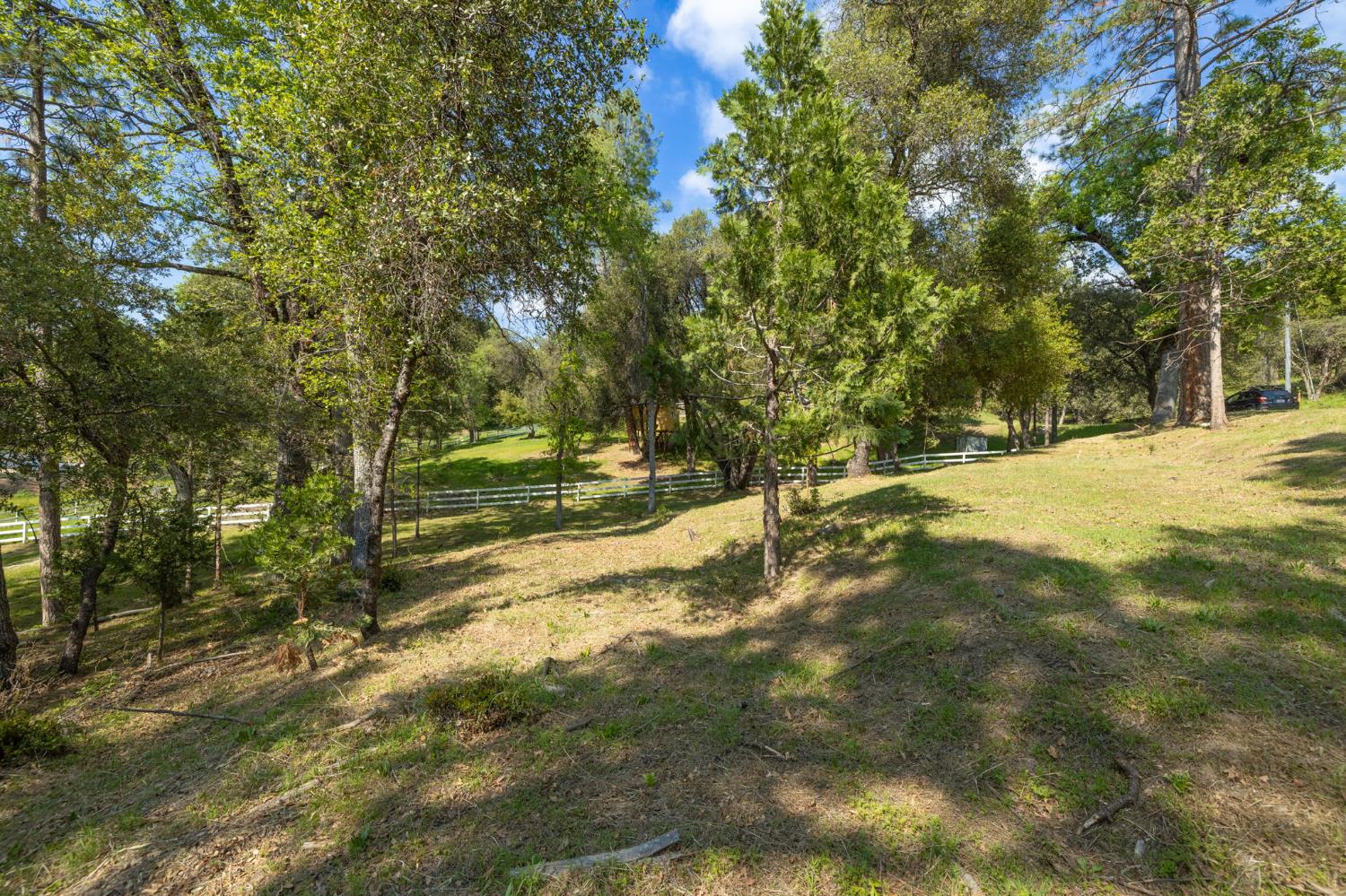 1 Oak Lane-APN 057-310-016 Ln, Oakhurst, CA 93644