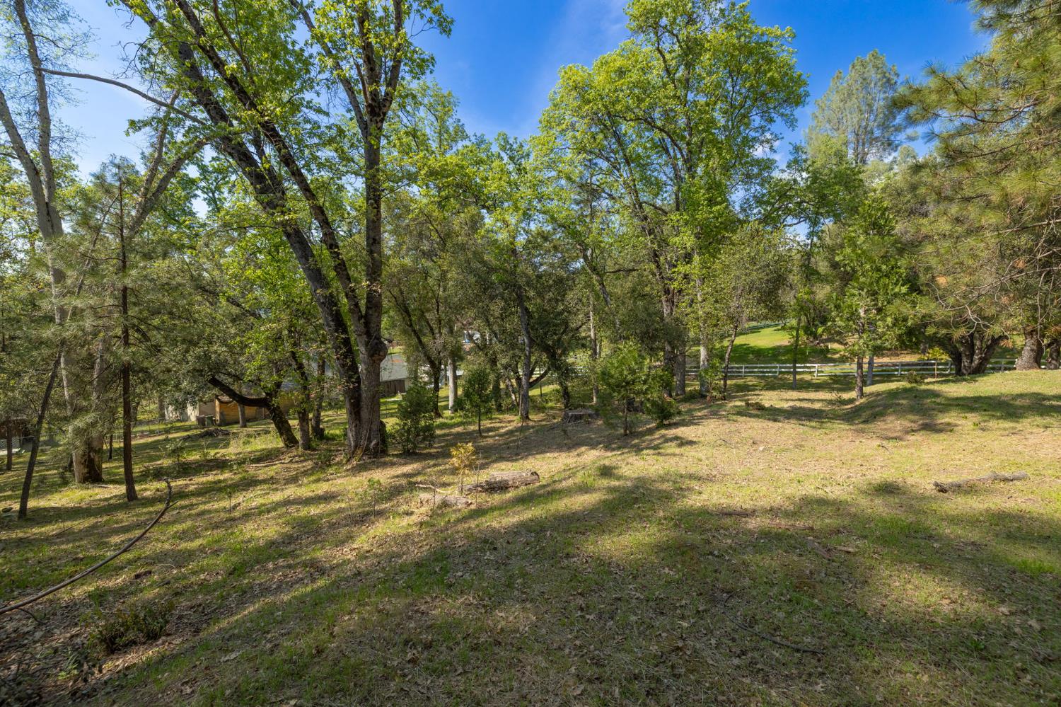 1 Oak Lane-APN 057-310-016 Ln, Oakhurst, CA 93644