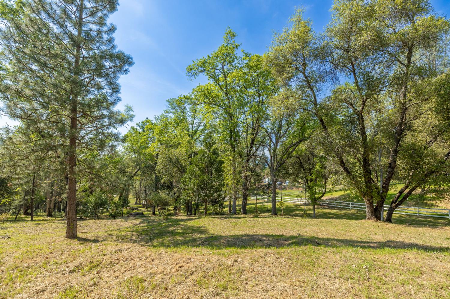 1 Oak Lane-APN 057-310-016 Ln, Oakhurst, CA 93644