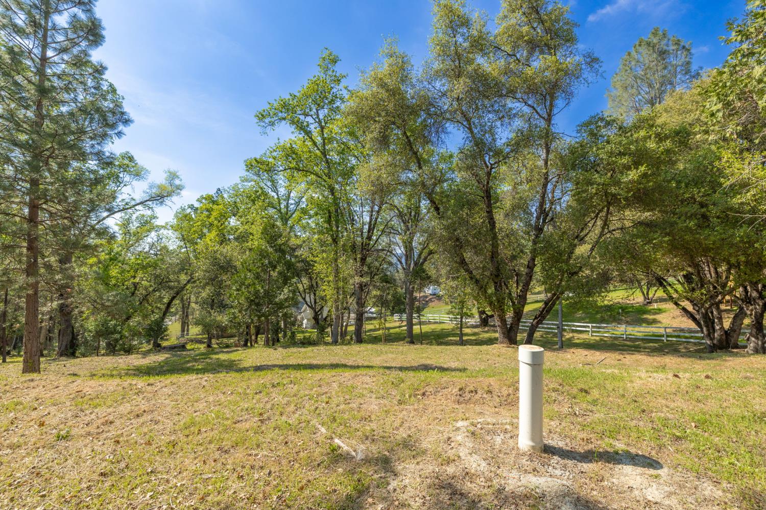 1 Oak Lane-APN 057-310-016 Ln, Oakhurst, CA 93644