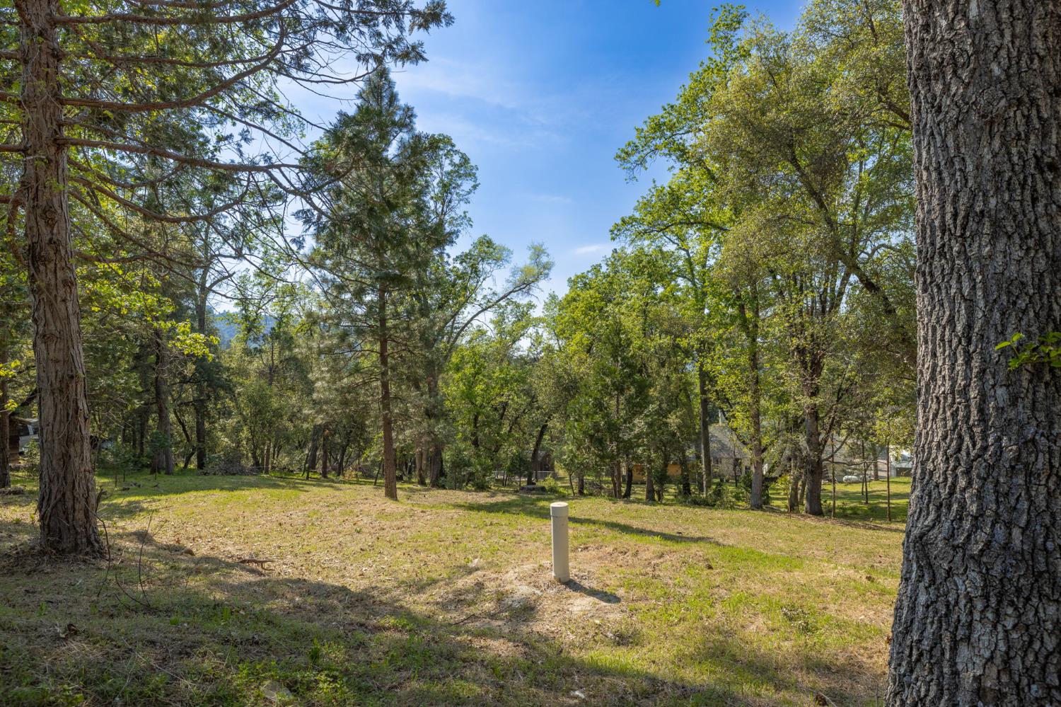 1 Oak Lane-APN 057-310-016 Ln, Oakhurst, CA 93644
