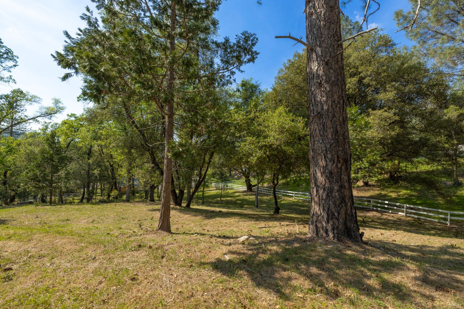 1 Oak Lane-APN 057-310-016 Ln, Oakhurst, CA 93644