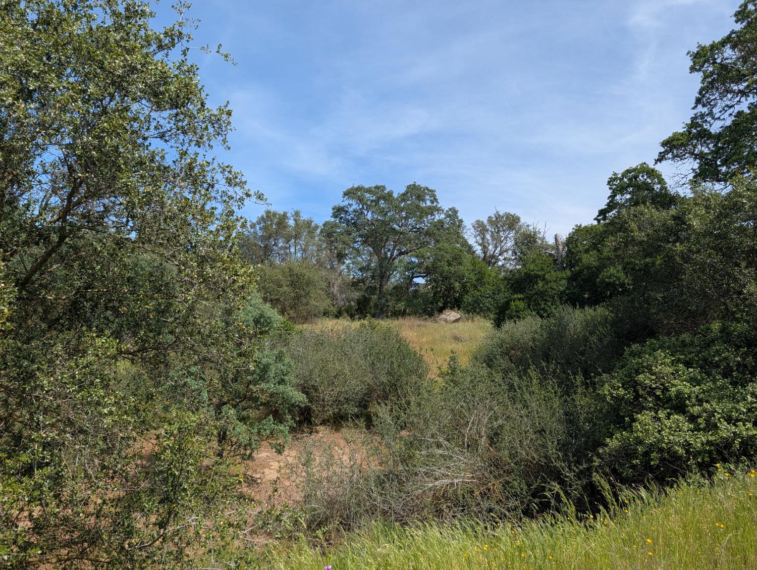 660 Willowood Ln, Yokuts Valley, CA 93675