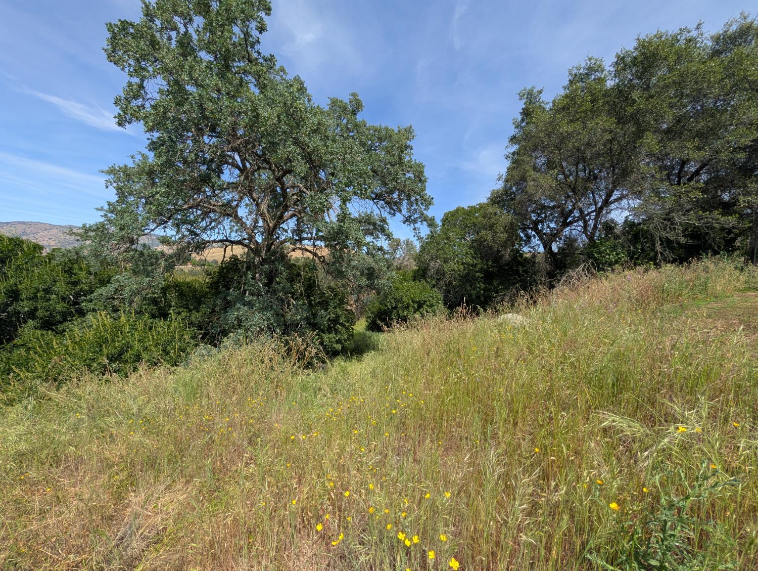 660 Willowood Ln, Yokuts Valley, CA 93675