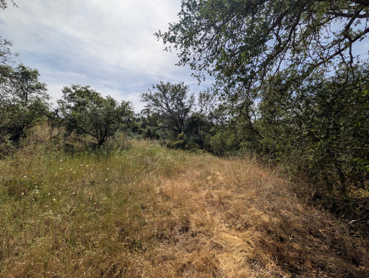 660 Willowood Ln, Yokuts Valley, CA 93675