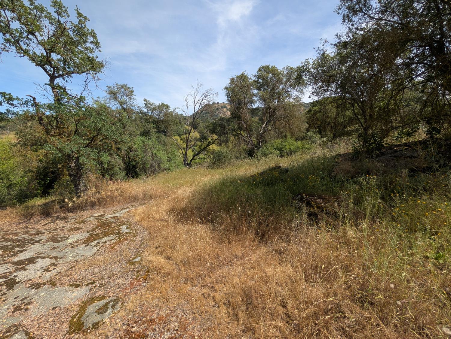 660 Willowood Ln, Yokuts Valley, CA 93675