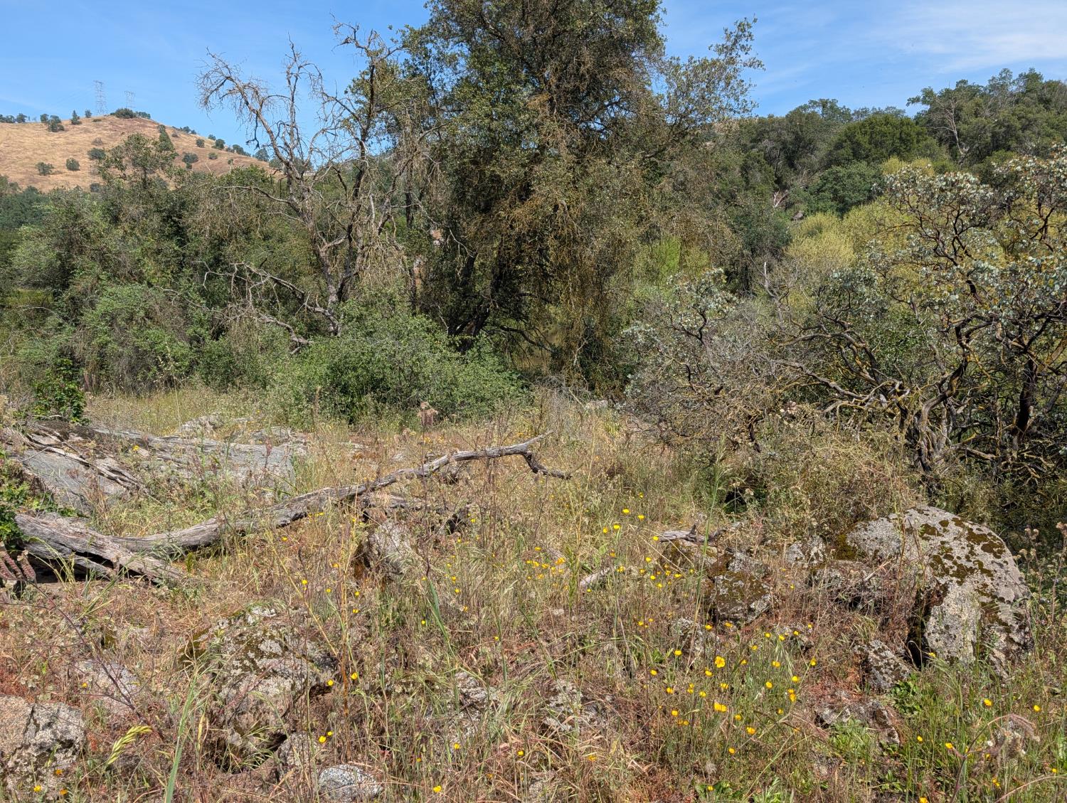 660 Willowood Ln, Yokuts Valley, CA 93675