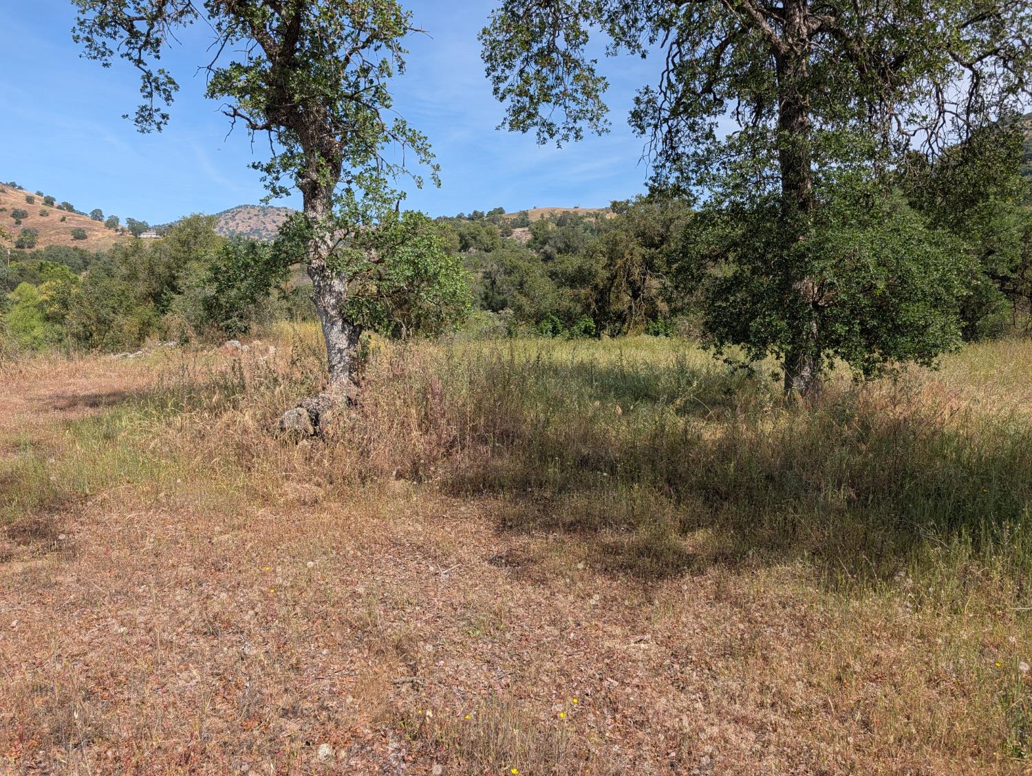 660 Willowood Ln, Yokuts Valley, CA 93675