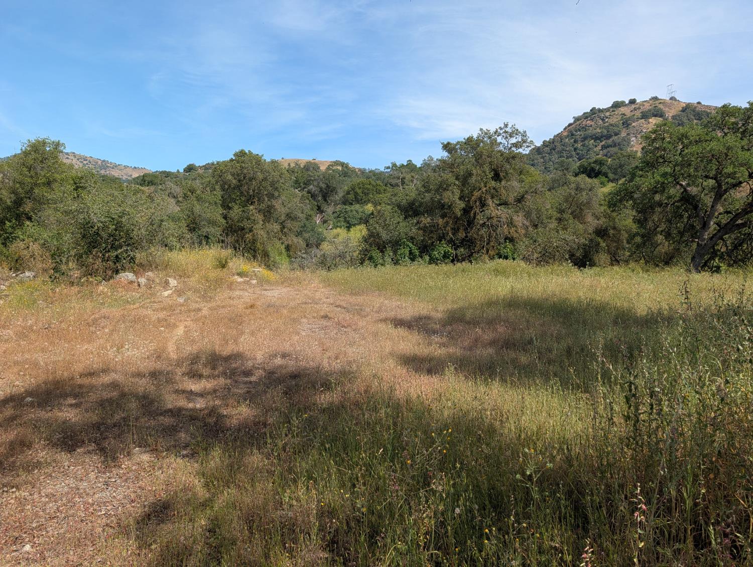 660 Willowood Ln, Yokuts Valley, CA 93675