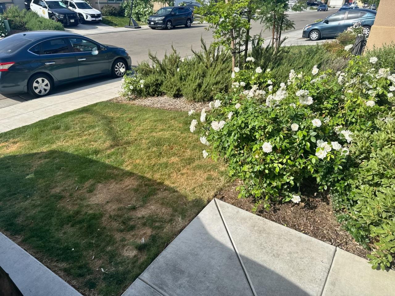 6622 E Berkeley Ave, Fresno, CA 93727