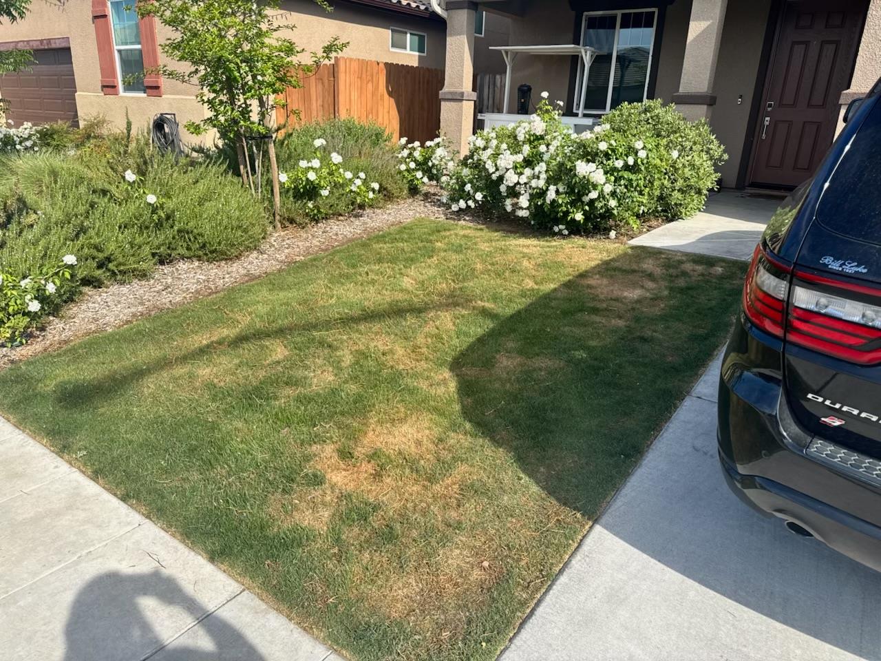 6622 E Berkeley Ave, Fresno, CA 93727