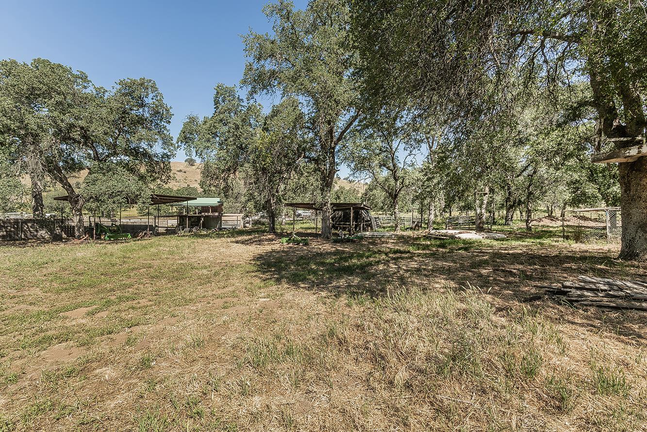 26045 Pittman Hill (Sales Crk) Rd, Clovis, CA 93619