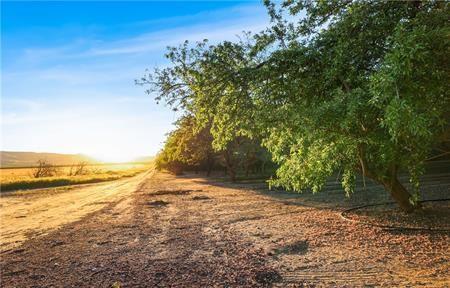 1 Shields, Firebaugh, CA 93622