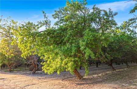 1 Shields, Firebaugh, CA 93622