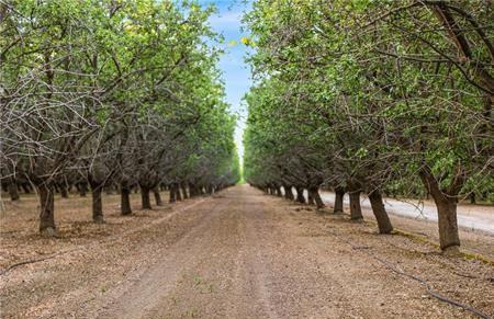 1 Shields, Firebaugh, CA 93622