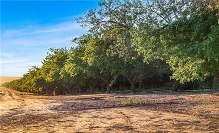 1 Shields, Firebaugh, CA 93622