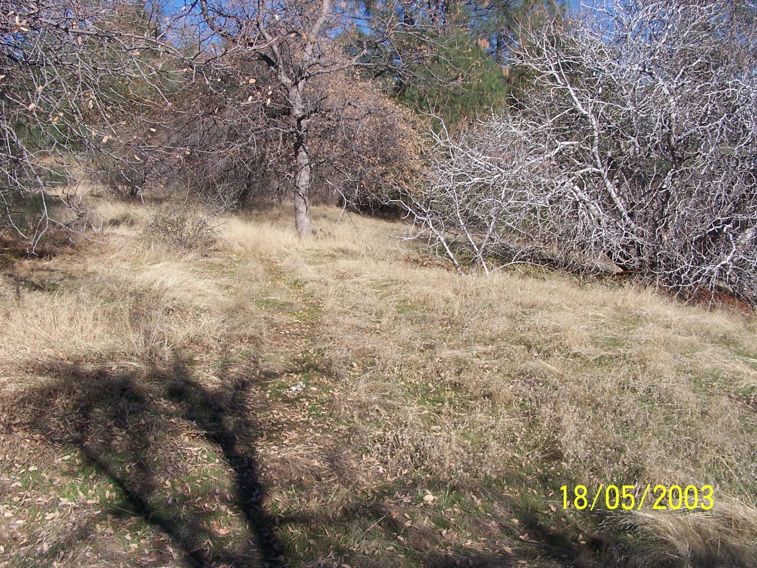 30 Hang Treen Ct, Oakhurst, CA 93644