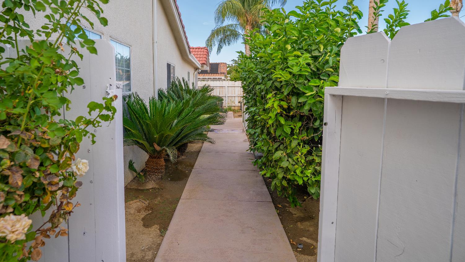 419 San Madele Ave., Coalinga, CA 93210