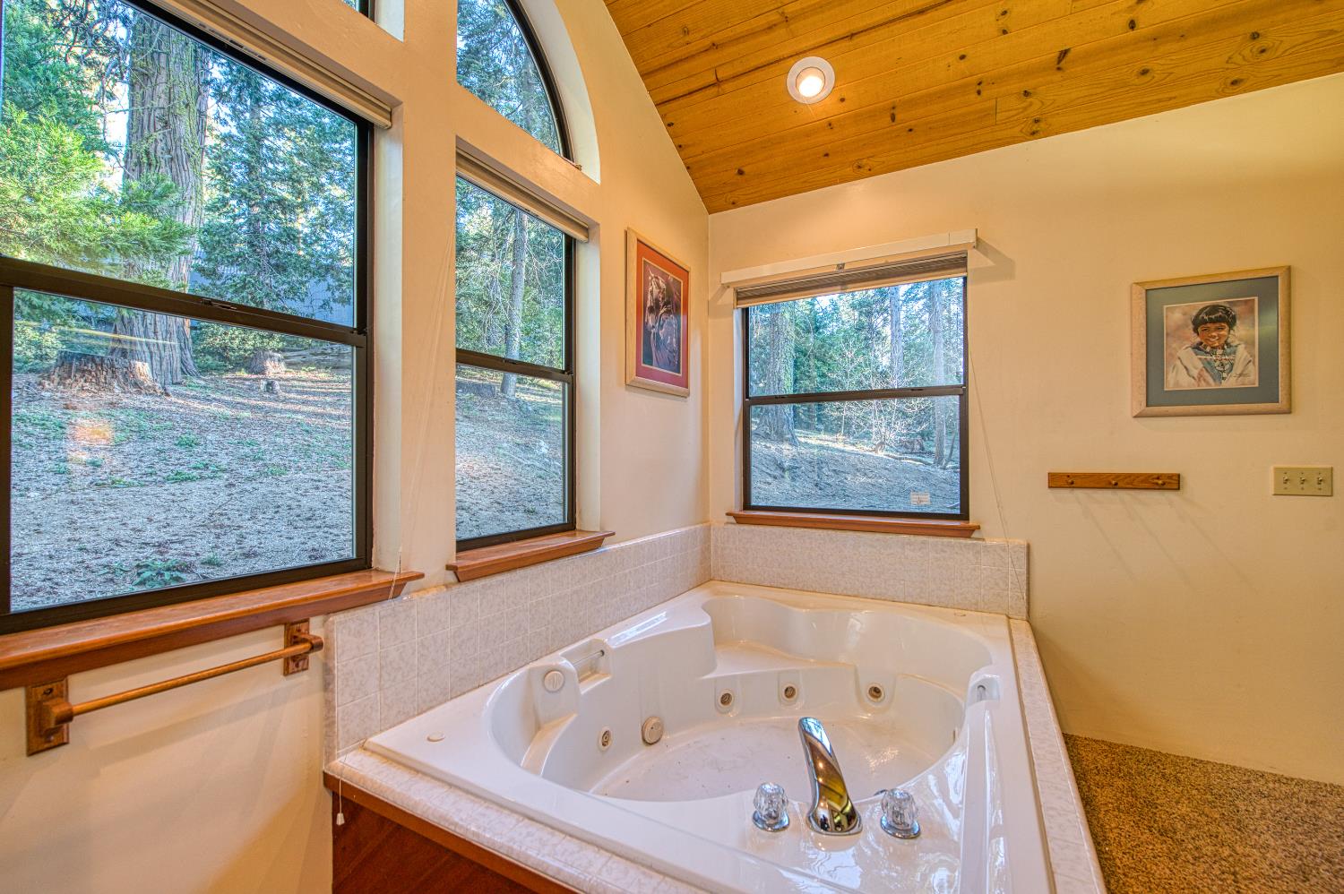 42005 Hanging Branch Rd, Shaver Lake, CA 93664