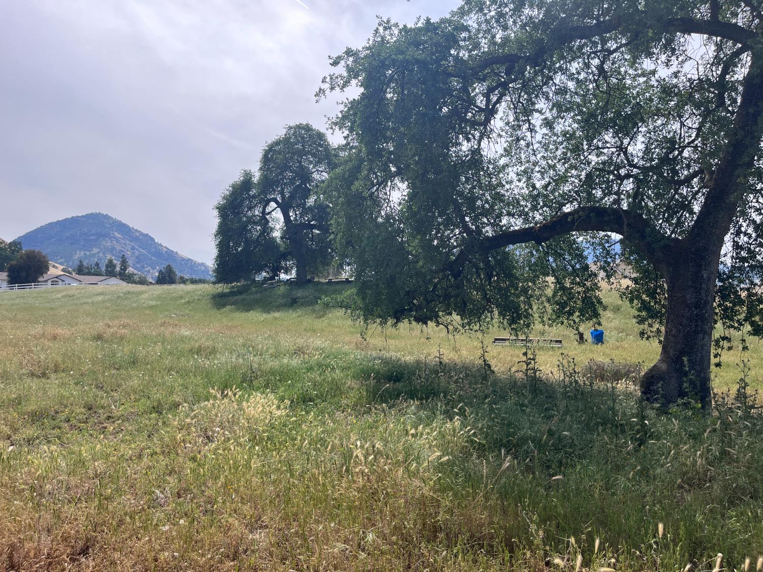 0 0 Lupine Dr, Sanger, CA 93657