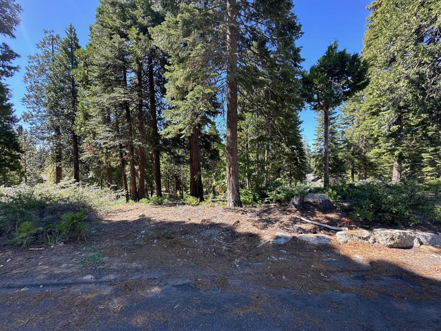 42142 Opal Ln, Shaver Lake, CA 93664