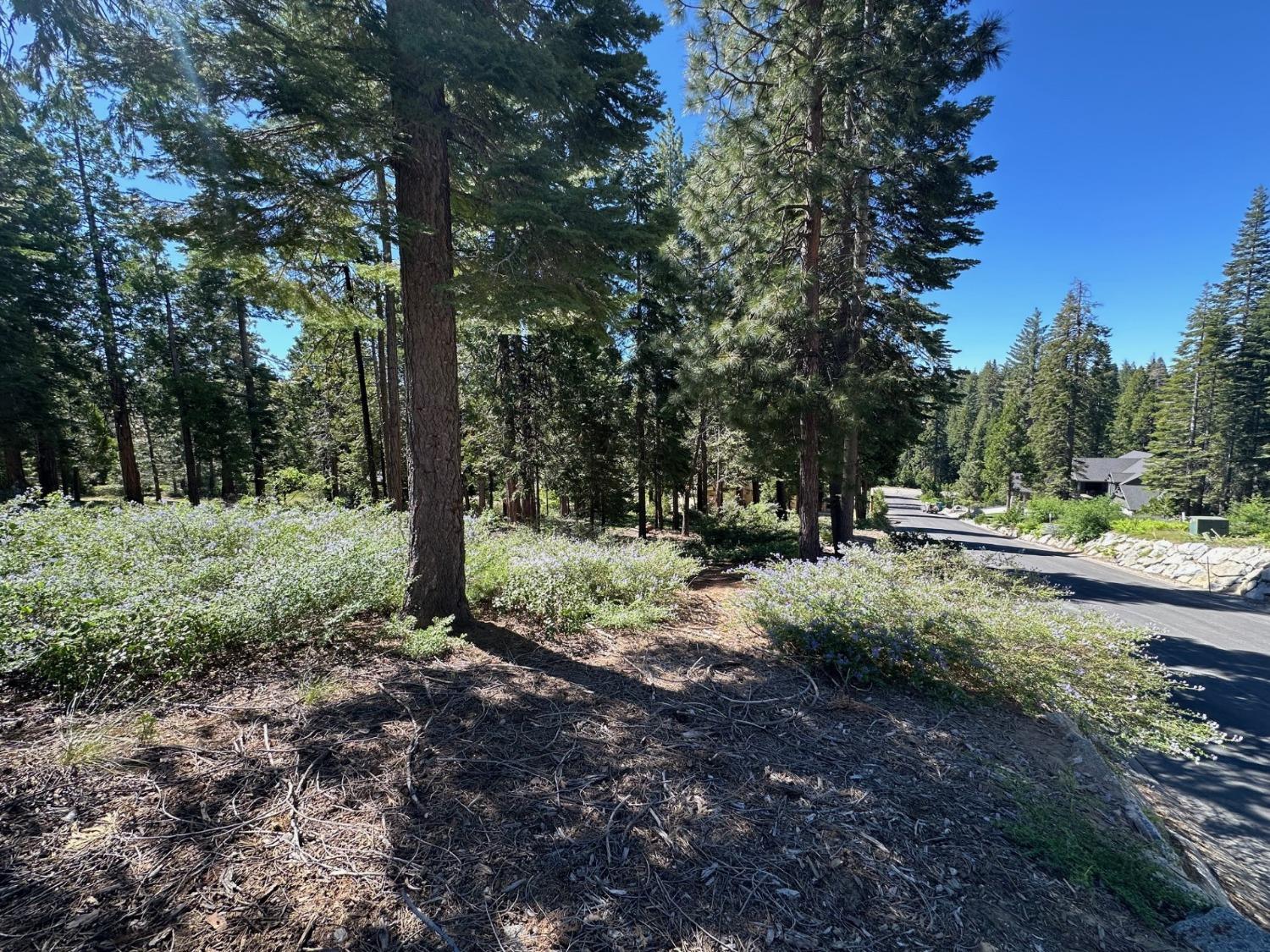 42142 Opal Ln, Shaver Lake, CA 93664