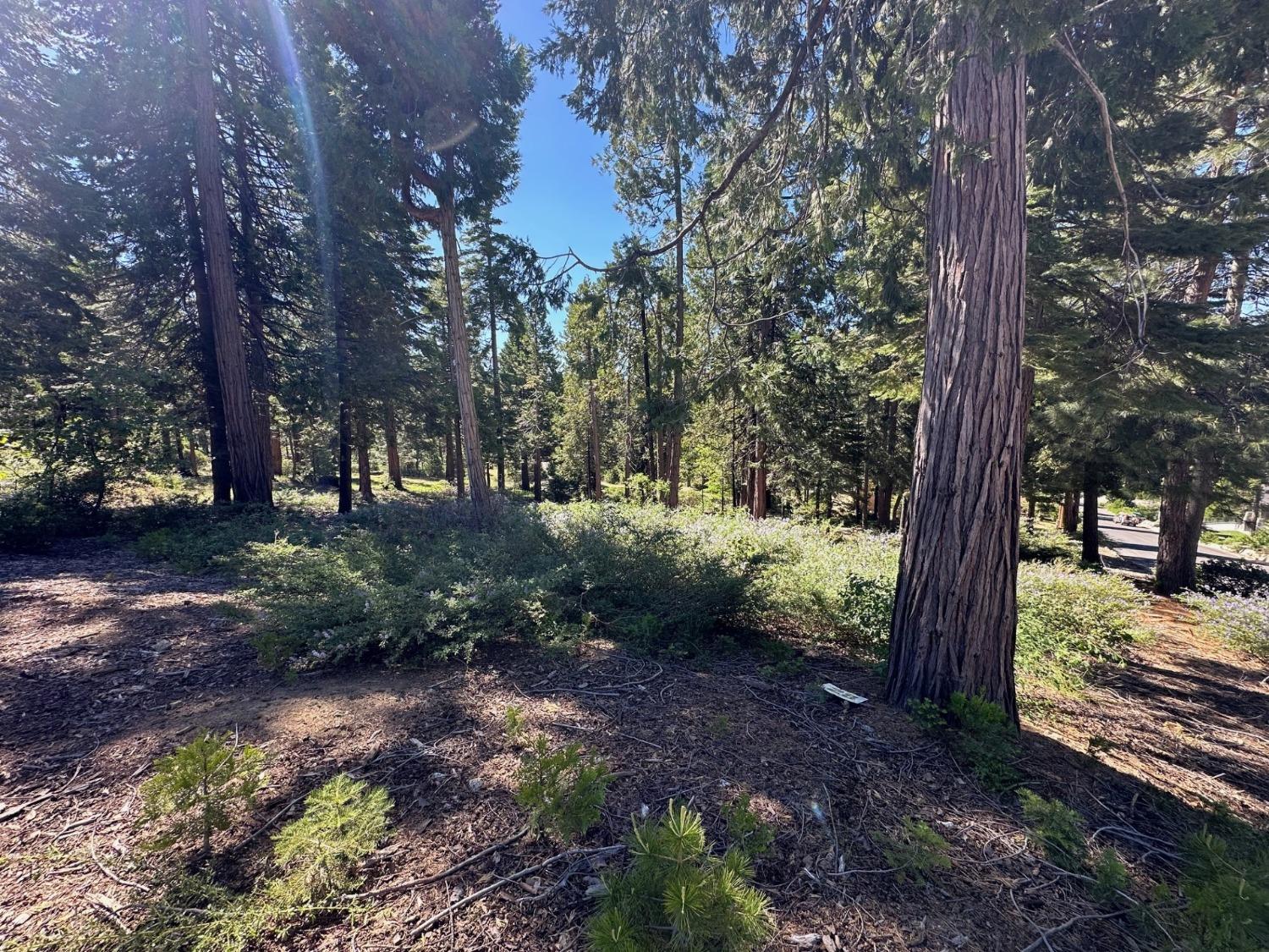 42142 Opal Ln, Shaver Lake, CA 93664