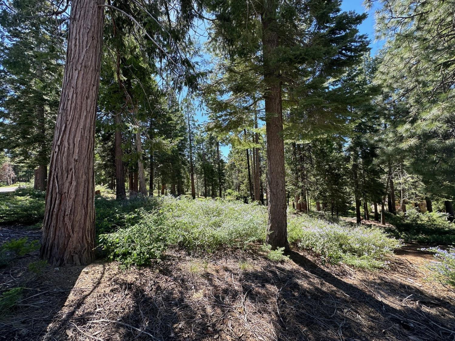 42142 Opal Ln, Shaver Lake, CA 93664