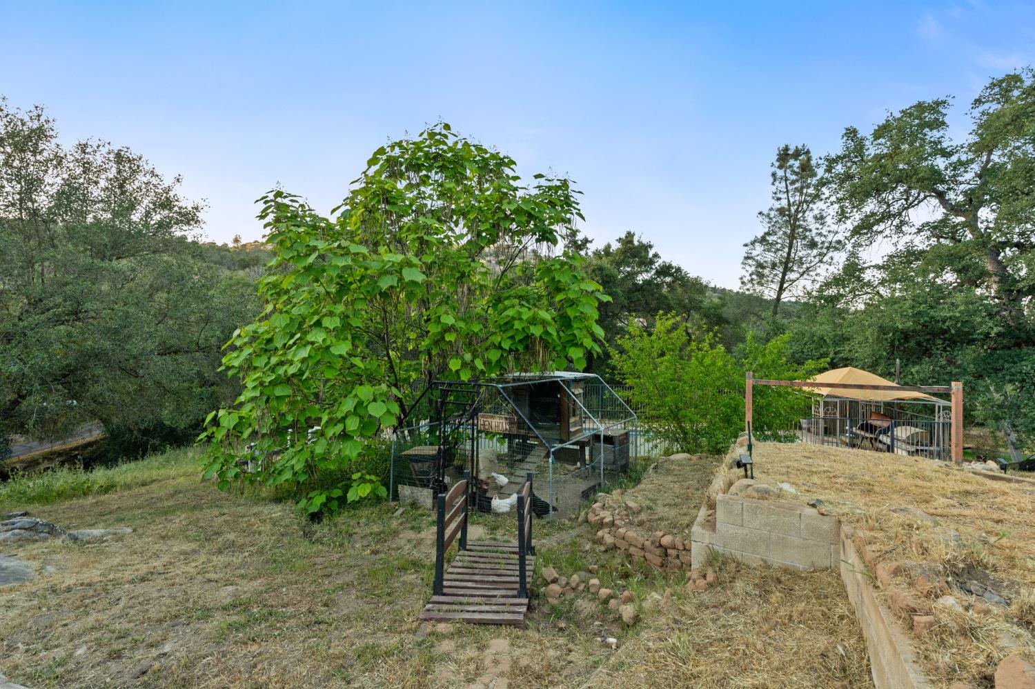 30088 Tioga Dr, Coarsegold, CA 93614