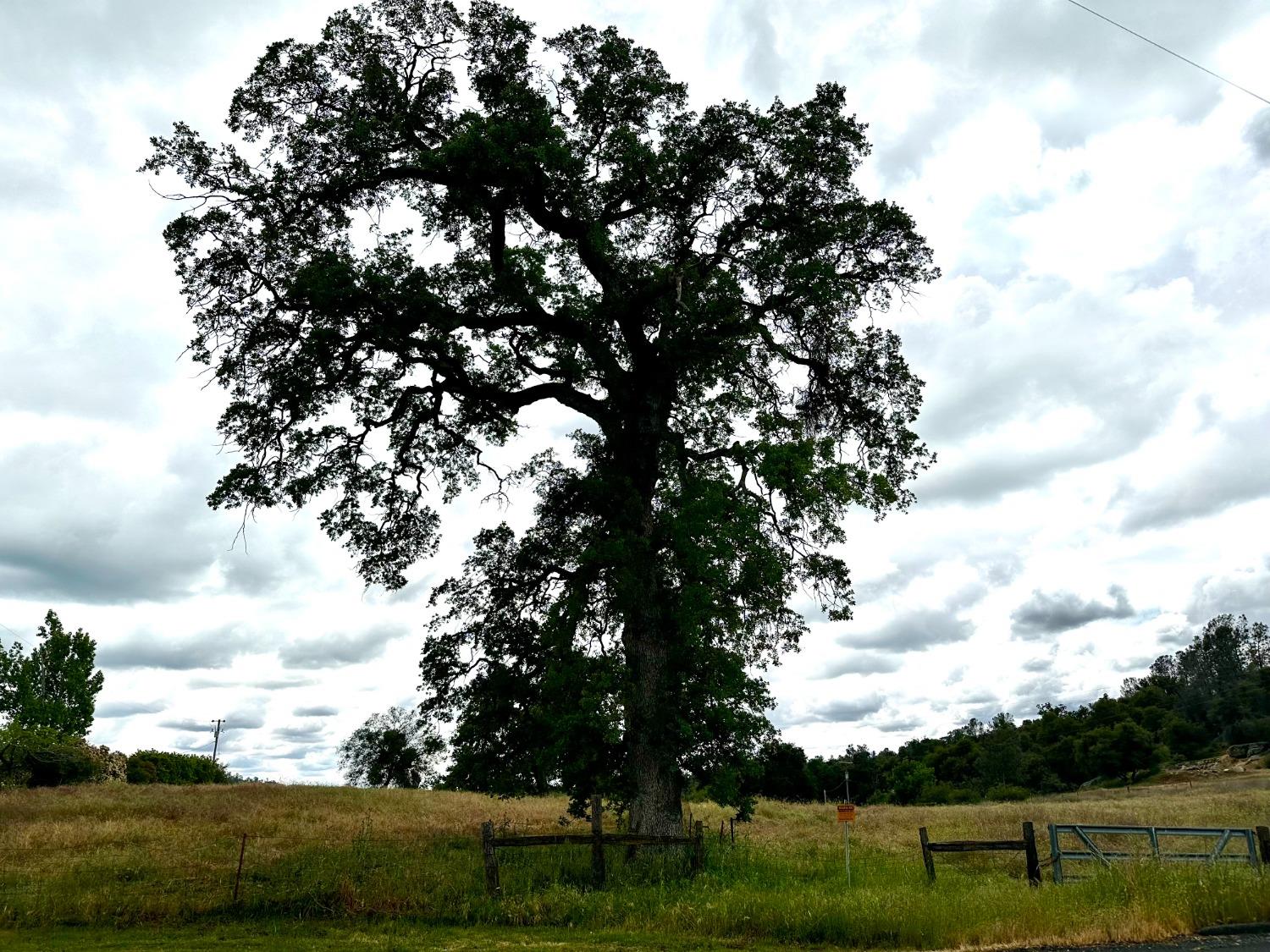 0 00 Savage, Coarsegold, CA 93614