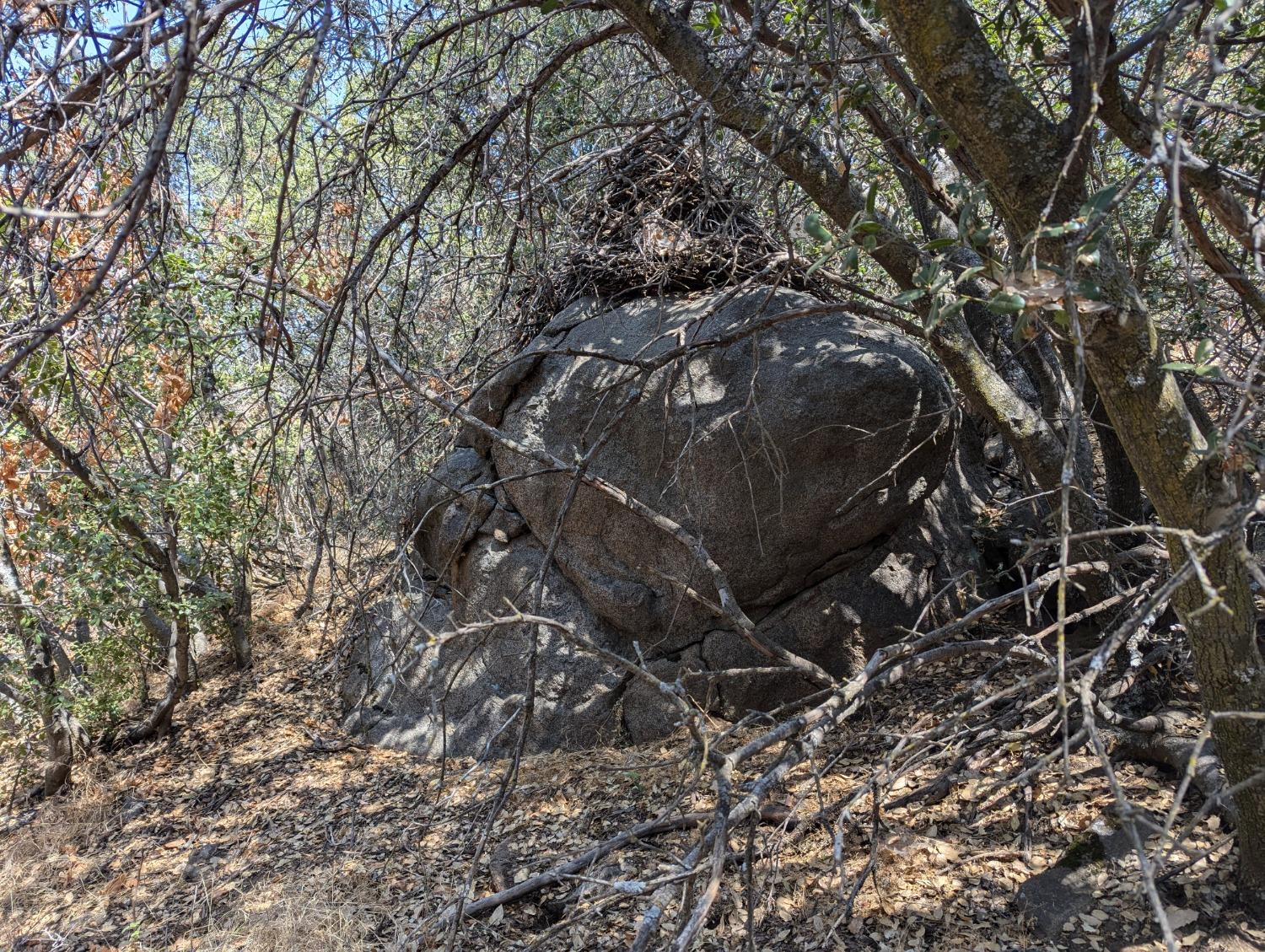 735 Bearclover Ln, Yokuts Valley, CA 93675