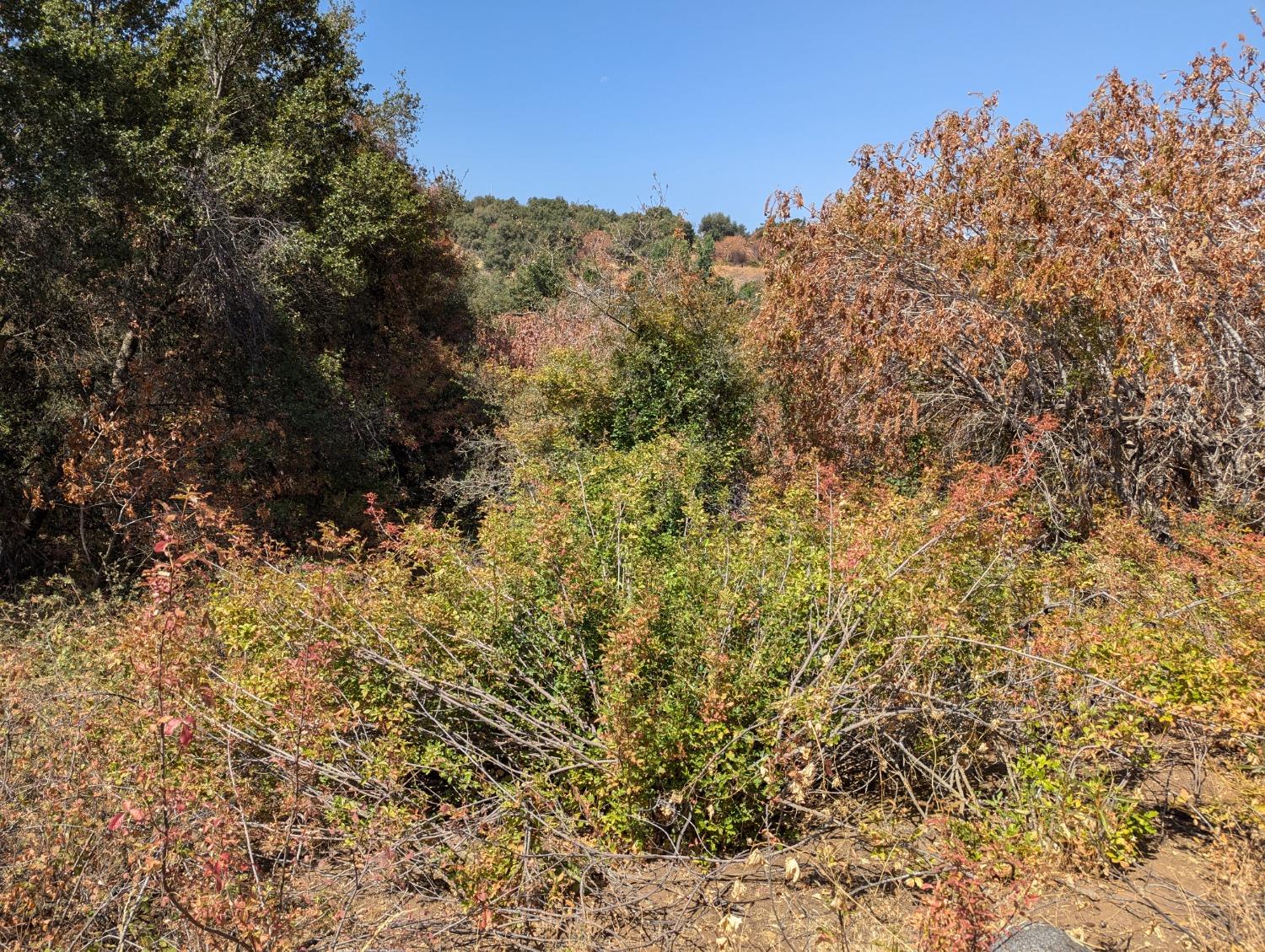 735 Bearclover Ln, Yokuts Valley, CA 93675