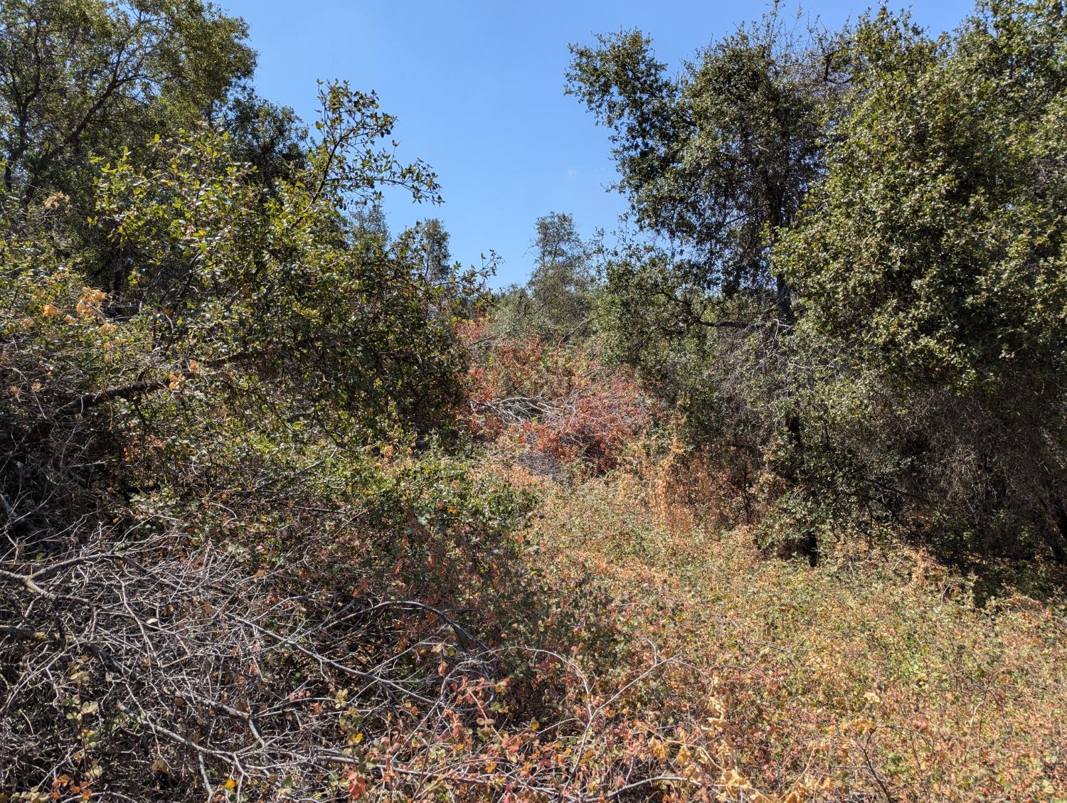 735 Bearclover Ln, Yokuts Valley, CA 93675