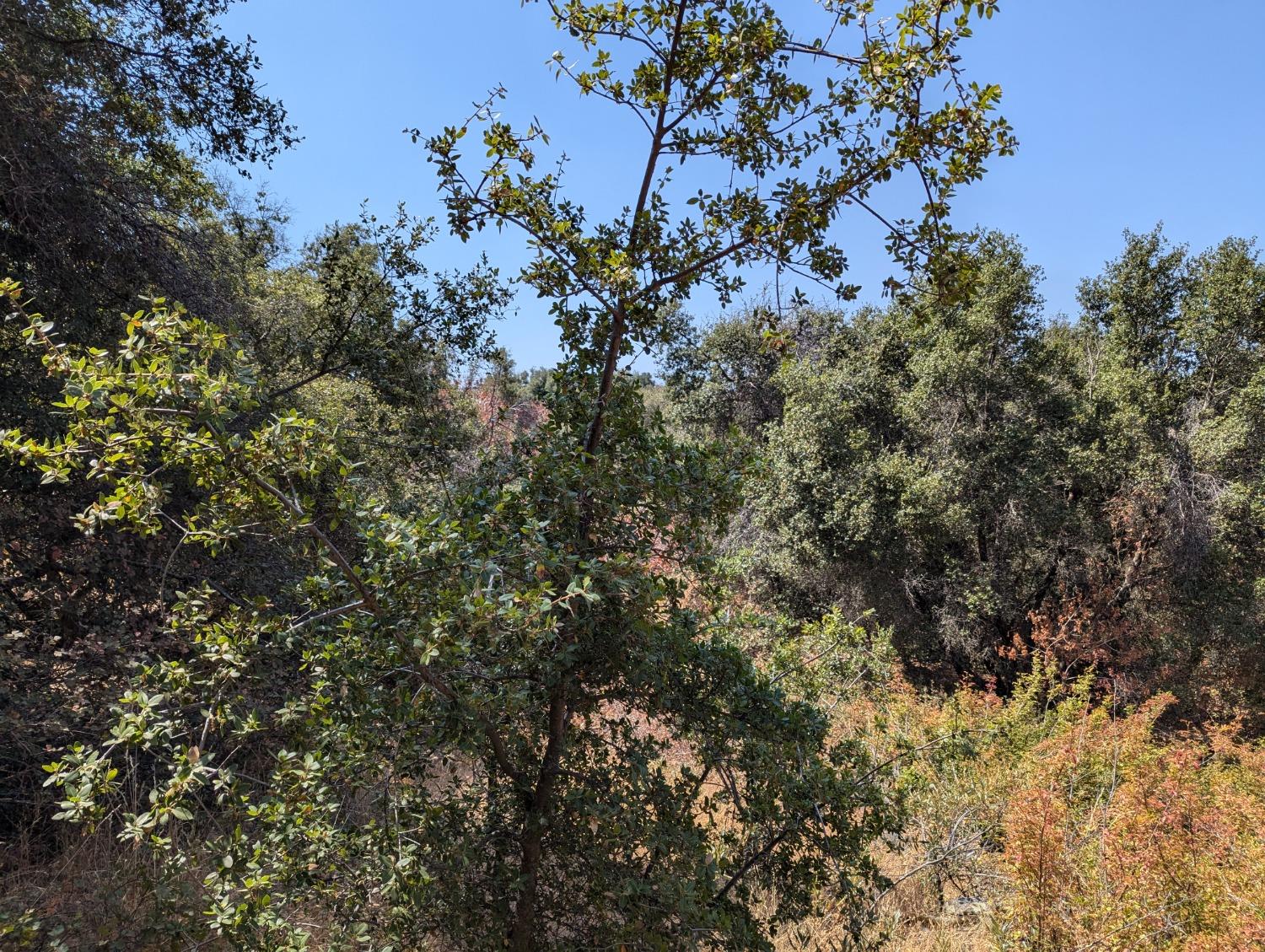 735 Bearclover Ln, Yokuts Valley, CA 93675