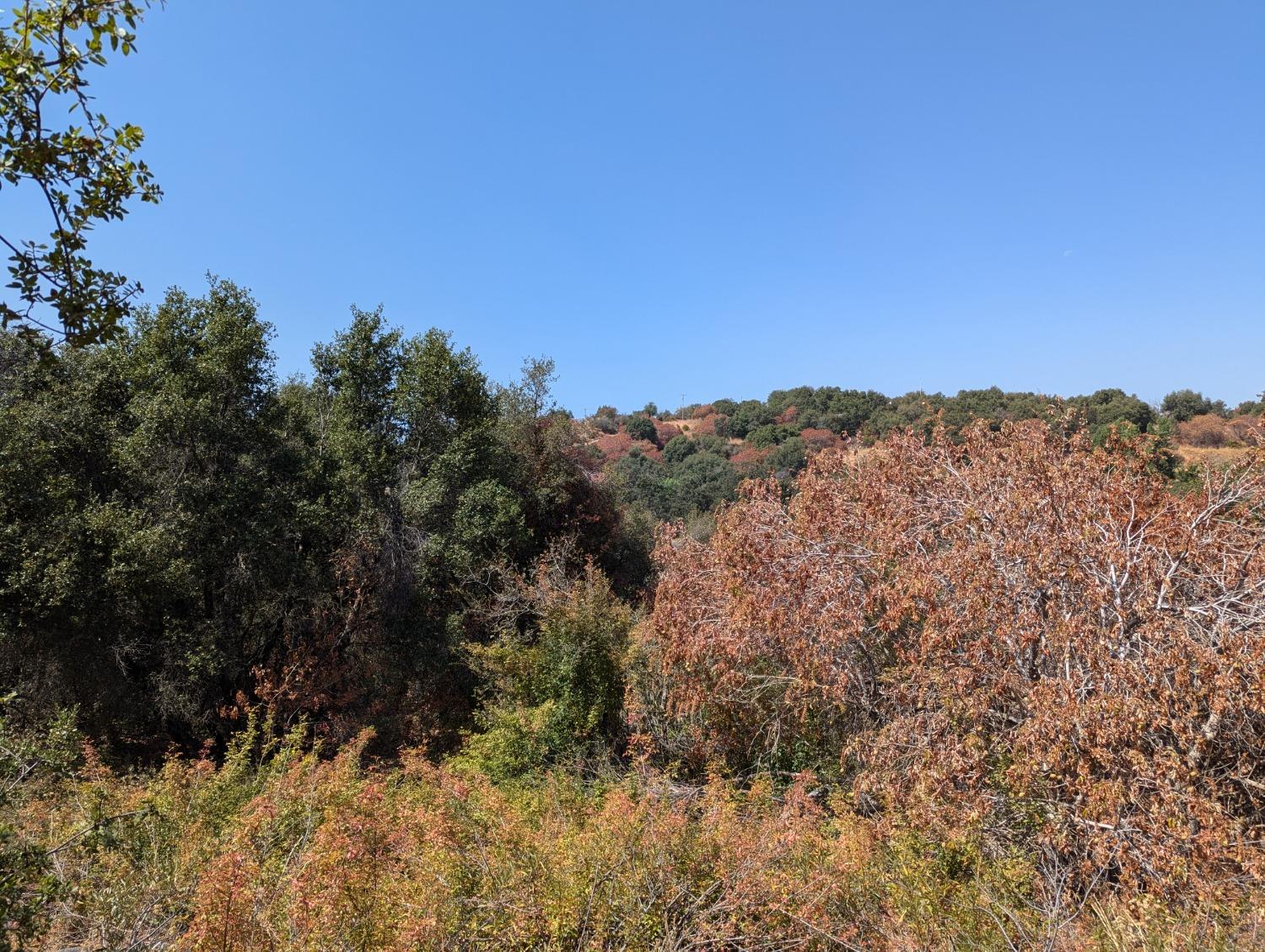 735 Bearclover Ln, Yokuts Valley, CA 93675