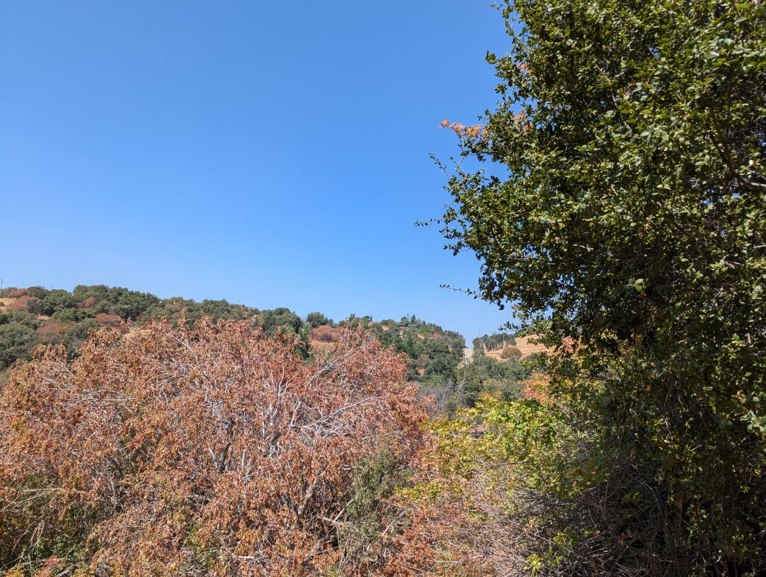 735 Bearclover Ln, Yokuts Valley, CA 93675