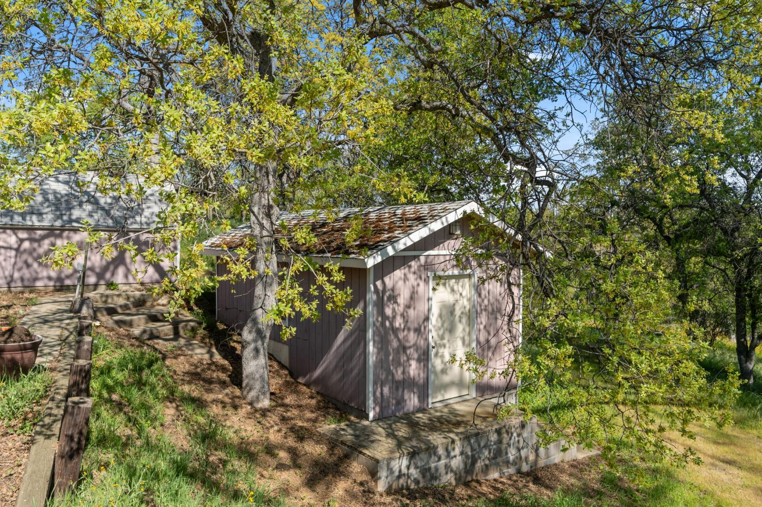 29667 Meadow Ln, Coarsegold, CA 93614