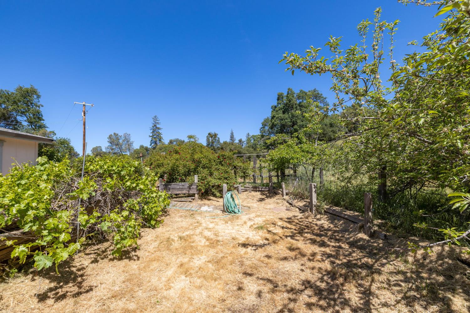 4716 Leonard Rd, Mariposa, CA 95338
