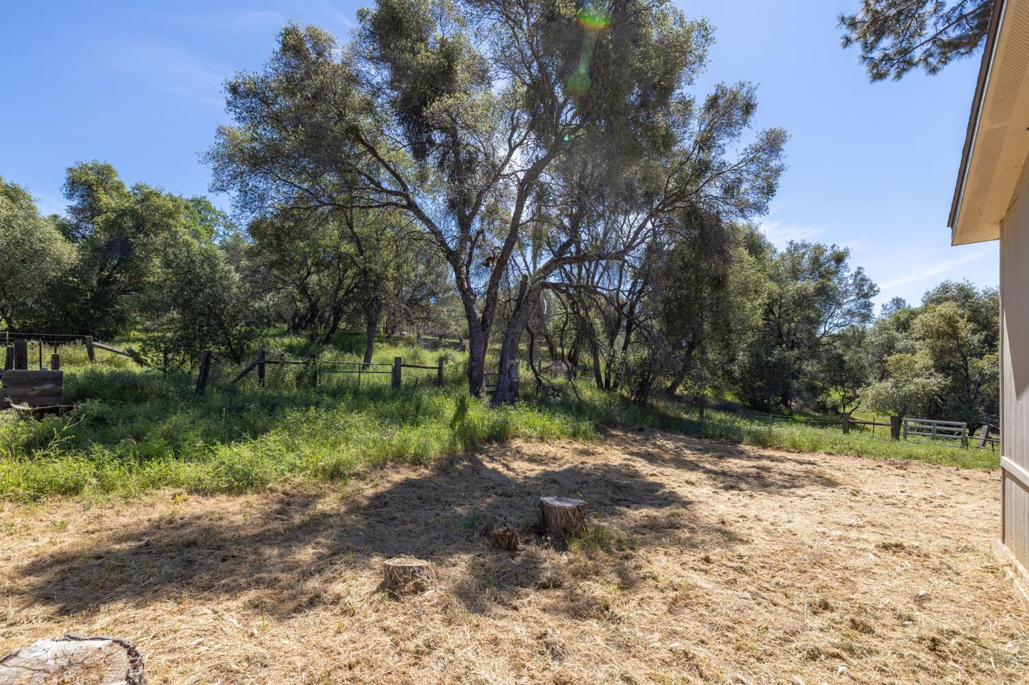 4716 Leonard Rd, Mariposa, CA 95338