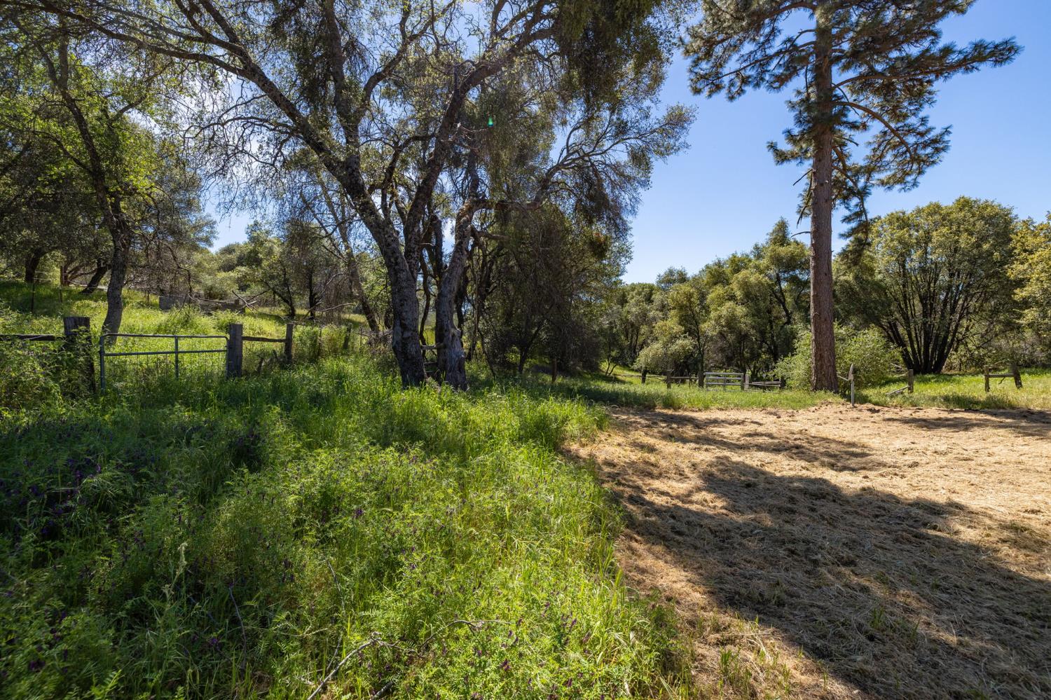 4716 Leonard Rd, Mariposa, CA 95338