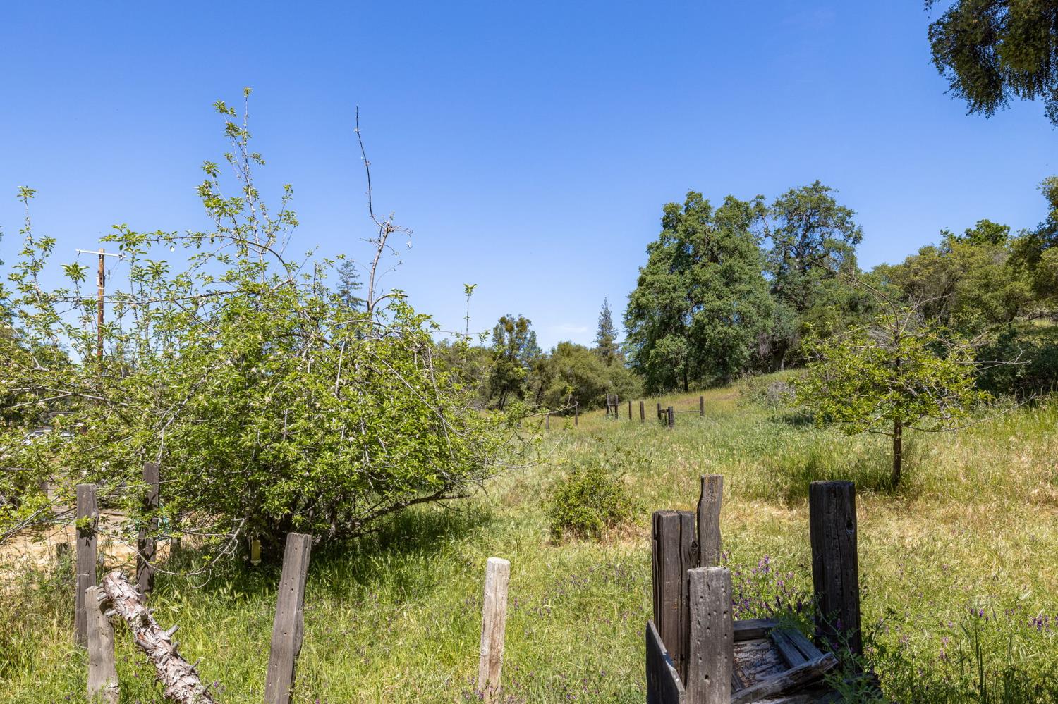 4716 Leonard Rd, Mariposa, CA 95338