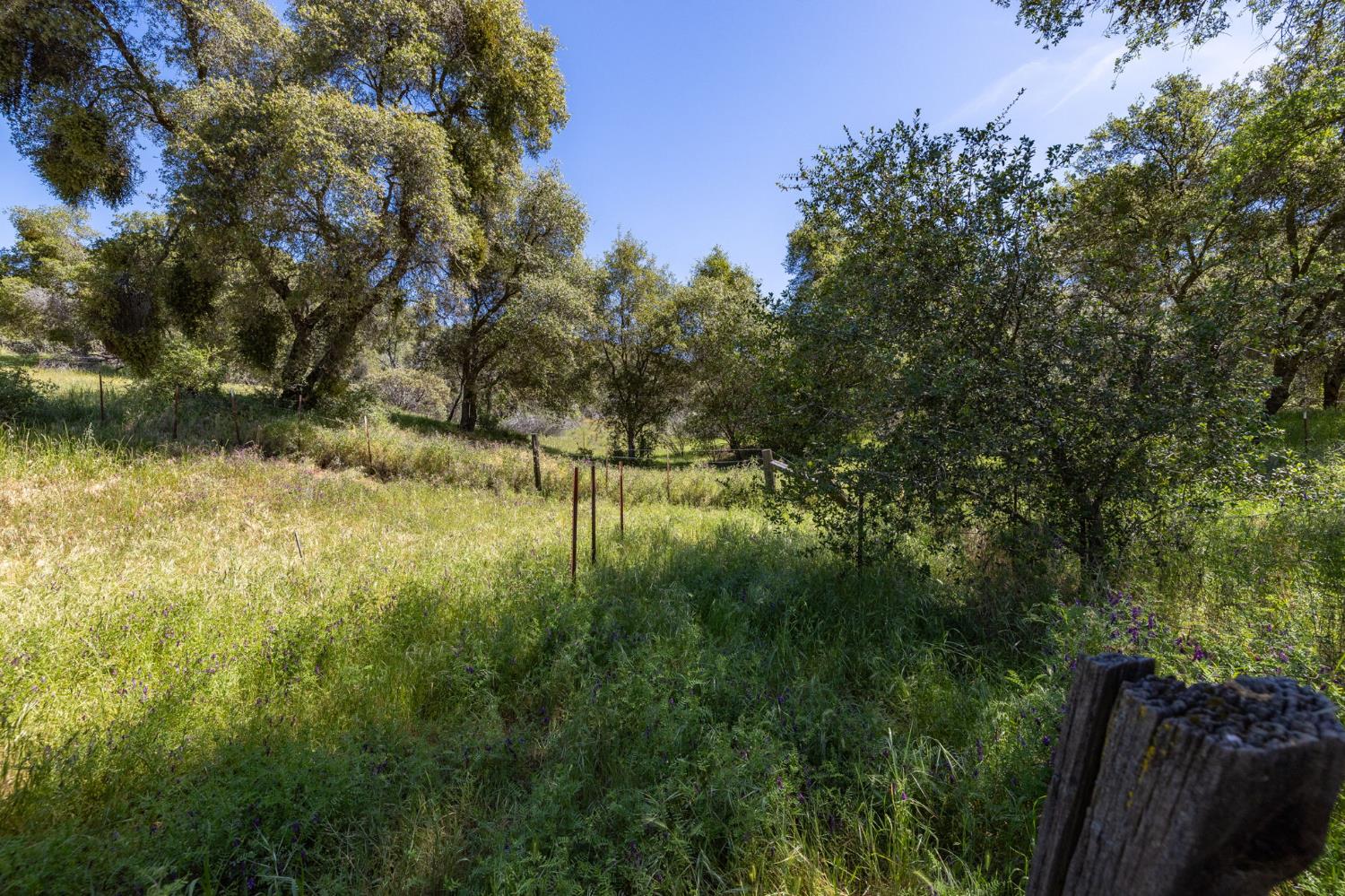 4716 Leonard Rd, Mariposa, CA 95338